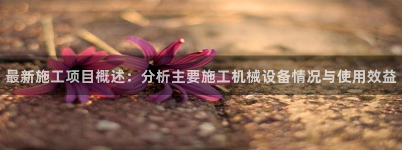 球盟会头号玩家是谁