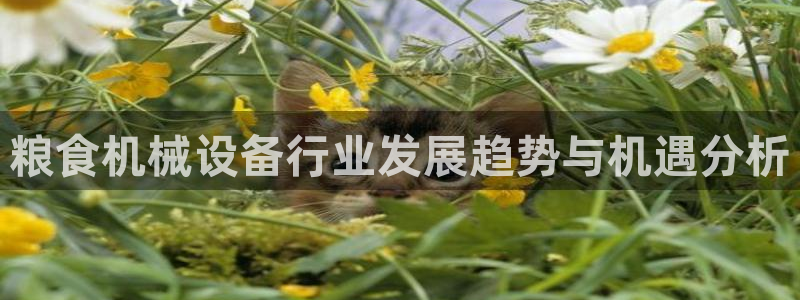 球盟会登陆