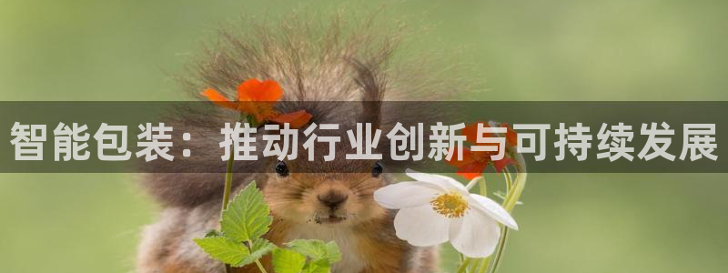 球盟会电子