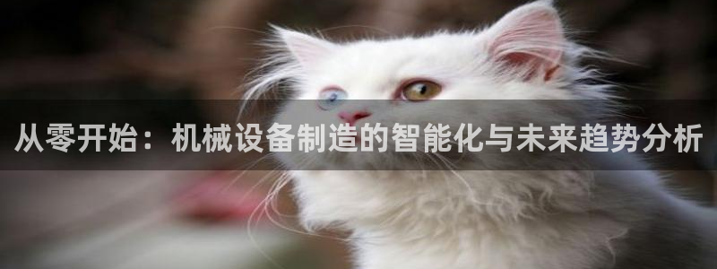 球盟会进不去吗