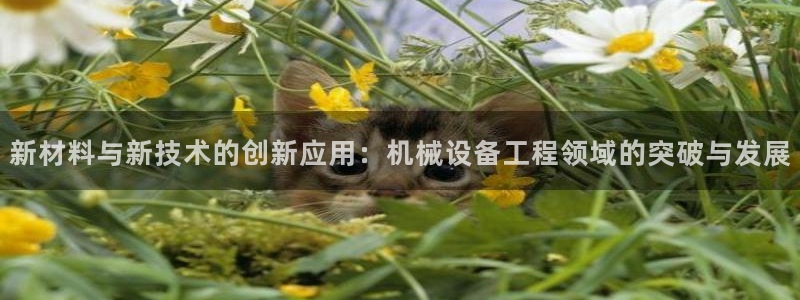 球盟会官网登录入口