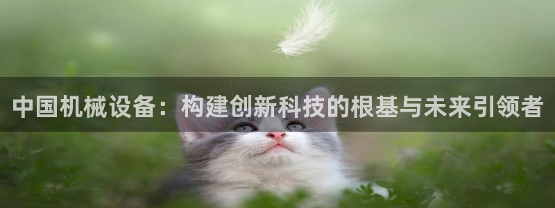 球盟会能提现吗是真的吗