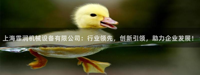 球盟会登陆入口