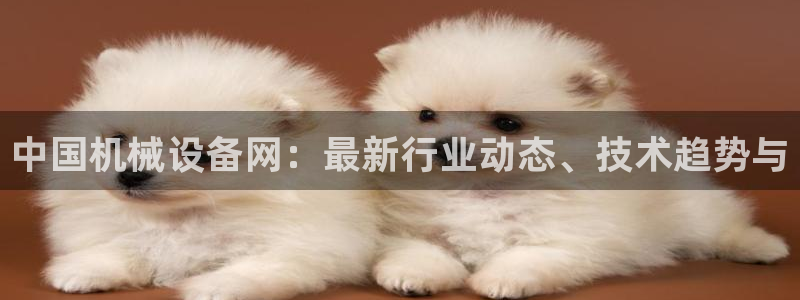 球盟会头号玩家