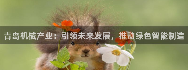 球盟会登录网址